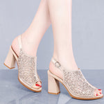 Luxury Women Shoes